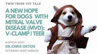 A New Hope For Dogs With Mitral Valve Disease (Episode 1): Overview of  TEER  V-Clamp | (PODCAST)