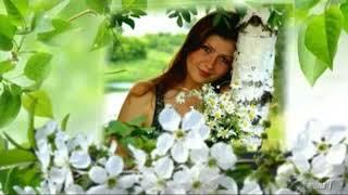 Расцвела сирень-черемуха в саду (Экспи)