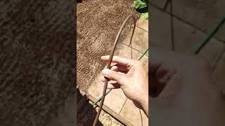 how to water in new seeds easily with a drip hose