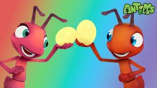 Cupcake Cream |  Antiks & Insectibles  | Funny Cartoons for Kids | Moonbug