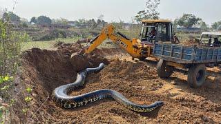 Jcb 3dx Backhoe Machine Mahindra Swaraj New Eicher Sonalika Tractor Over LoadingTrolley Truck video