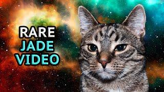 A Forgotten Video Of Jade The Cat