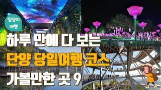 당일 치기 단양 여행 코스! 단양 가볼만한 곳 BEST 9  하루 만에 둘러보기. 만천하스카이워크, 남한강잔도, 이끼터널, 수양개빛터널, 무지개터널, 단양시장, 고수대교