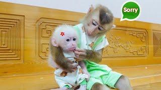 Pupu is excited to get a new shirt for Poki baby Monkey