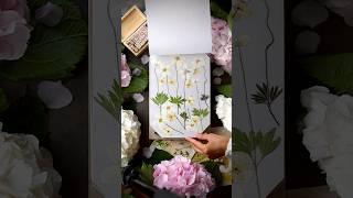 Панно из гербария #творчество #creative #creativity #ideas #idea #идея #гербарий #herbarium