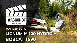 BOBCAT T590 munka közben egy AARDENBURG LIGNUM M 100 HYDRO hidraulikus gallyaprítóval