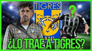 ¡BOMBAZO! TIGRES UANL VA POR DOS FIGURAS EXTRANJERAS PARA 2025: ¿QUIÉNES SON LOS NUEVOS OBJETIVOS?