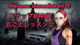 ステップ初中級丸ごとレッスン㉒ Step Lower Intermediate Vol.22