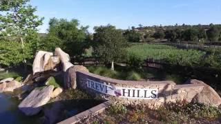Luxury Real Estate San Diego, Trevi Hills Tuscan Villa Homes with Vineyards For Sale
