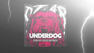 CZAR - FOR MY DOGS/INTRO (prod. by INTERKRIMEZ)