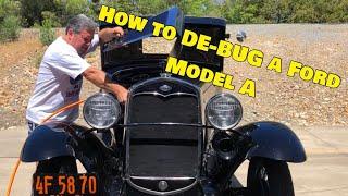 SUICIDAL insect removal! How to clean dead bugs out of a Ford Model A car radiator