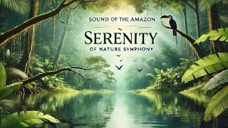 Sounds of the Amazon  Serenity of Nature's Symphony 