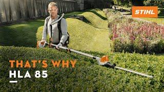 STIHL HLA 85 | Long-reach hedge trimmer with telescopic shaft I That's why