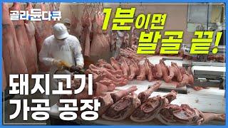 커다란 돼지를 순식간에 쓱-싹! 능숙한 칼잡이들이 하루 200마리 돼지를 해체 발골하는 '돼지 가공 공장'┃발골정형 기술사┃극한직업┃#골라듄다큐