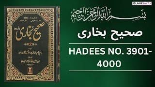 Sahih Bukhari Hadees No. 3900 To 4000 | Hadees in Urdu | Sahih Bukhari Hadees