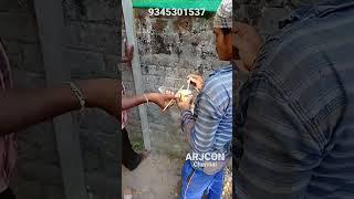 Column Grid line marking by total station #shorts