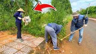 The woman collects trash and helps clean up the sidewalk overgrown with weeds | Cleanup Lawn