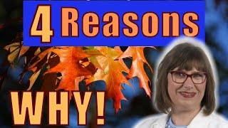 What are the benefits of selling your home in the Fall in Fox Valley?