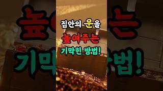 집안의 운을 높이려면 무조건 '이것'하세요! 재물복 터져요