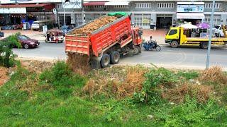 Wonderful a new Project Showing Landfilling Using Bulldozer D21P and Dump truck unloading soil.