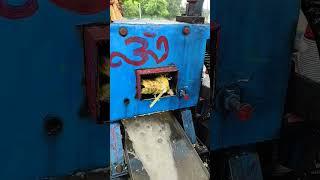 Sugarcane Juice #foodie #shortvideos #youtubeshort #thecrazypedia