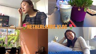  네덜란드 유학생 vlog | 지극히 평범한 네덜란드 일상