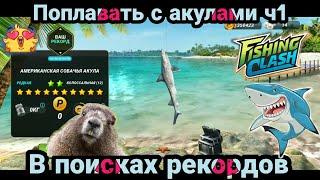 Поплавать с акулами на Флориде/ в поиске рекордов / Fishing Clash: Реальная рыбалка