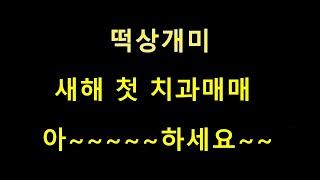 떡상개미 새해 첫 치과매매 아~~~~하세요~~  수익 넣어 드립니다~~
