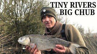 TINY RIVERS BIG CHUB - vicious bite took me by surprise #fishing #rivers