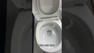 TOTO Tornado flush