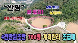 주말농장 급매 남향 양지 대출2800만원 4천만원초반 2532㎡ 766평 계획관리 농지원부 만들기 차량 진입 가능 농막 좋기 충북 단양군 매포읍 우덕리 토지 매매 단양부동산 급매