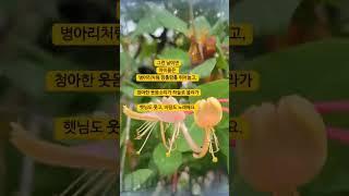 강동구 길동 생태공원 #국내여행 #강동구청 #길동 #길동생태공원 #둔촌동프라자아파트 #올림픽파크포레온