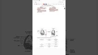 #mechanism of breathing