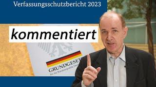 Verfassungsschutzbericht 2023 und die AfD - ein Kommentar | Dr. Gottfried Curio