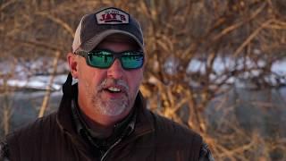 Mining Kalamazoo River Steelhead on Plugs    Fishing 411 TV