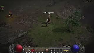 Diablo II: Resurrected - Dark Wanderer