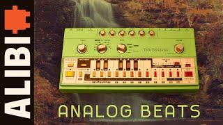 Analog Beats |  Urban Cool Meets Lo-Fi Chill 