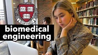 A Day in the Life of a Harvard Biomedical Engineering Student