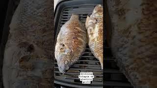 Grilling tilapia on electric grill #food #cooking #smokelessgrill