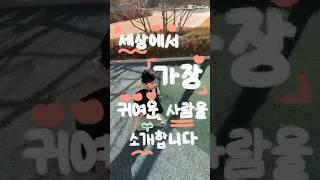 귀요미 팬이 만들어준 귀여운 영상 #성장 #아기 #육아 #귀여움 #걸음마 #옹알이