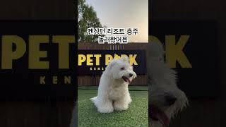 김나나