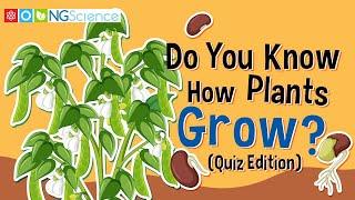 Do You Know How Plants Grow? (Quiz Edition)