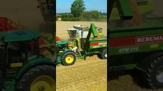 Harvester Claas #shorts #loop #tractors #bergmann #claas #johndeere #music #trattori