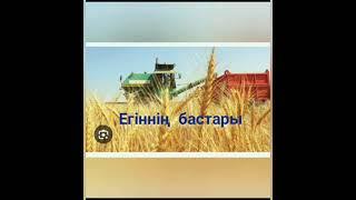 Егіннің бастары