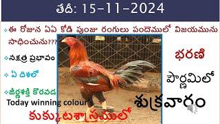 15 Nov 24 Today winning colours /Today winning colours/ vision of kukkuta sastram in colours update