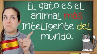 El SUPERLATIVO RELATIVO en español: aprende cómo y cuándo se usa (los grados del adjetivo) 