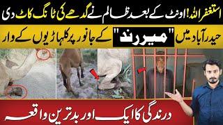 Shocking Incident ! Another ManCuts Donkey Leg for Eating Crops in His Field | Views Matter