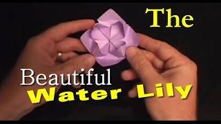 #17: How to Make an Origami Water Lily Flower