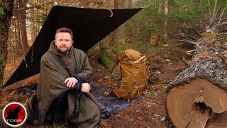 Not ALONE - Surrounded by Predators in a Foggy Forest Camp