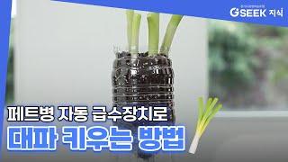 페트병 자동 급수장치로 대파 키우는 방법｜경기도 지식(GSEEK)